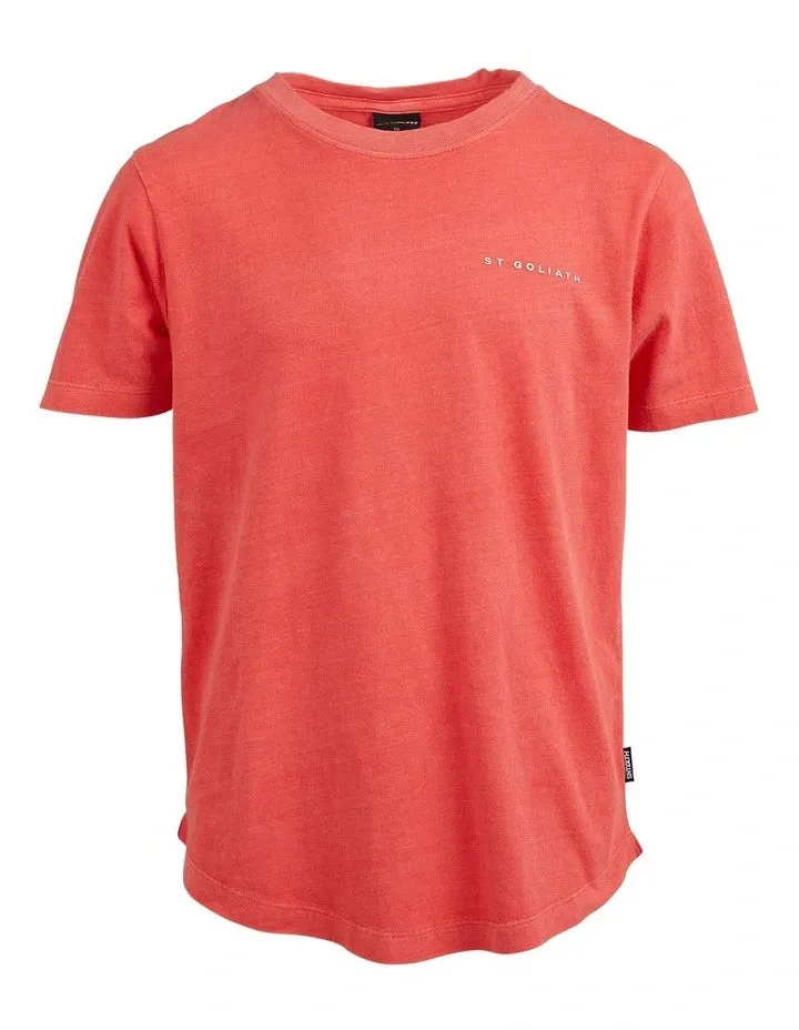 Boys STG Essential Tee by St Goliath (7 Colours)