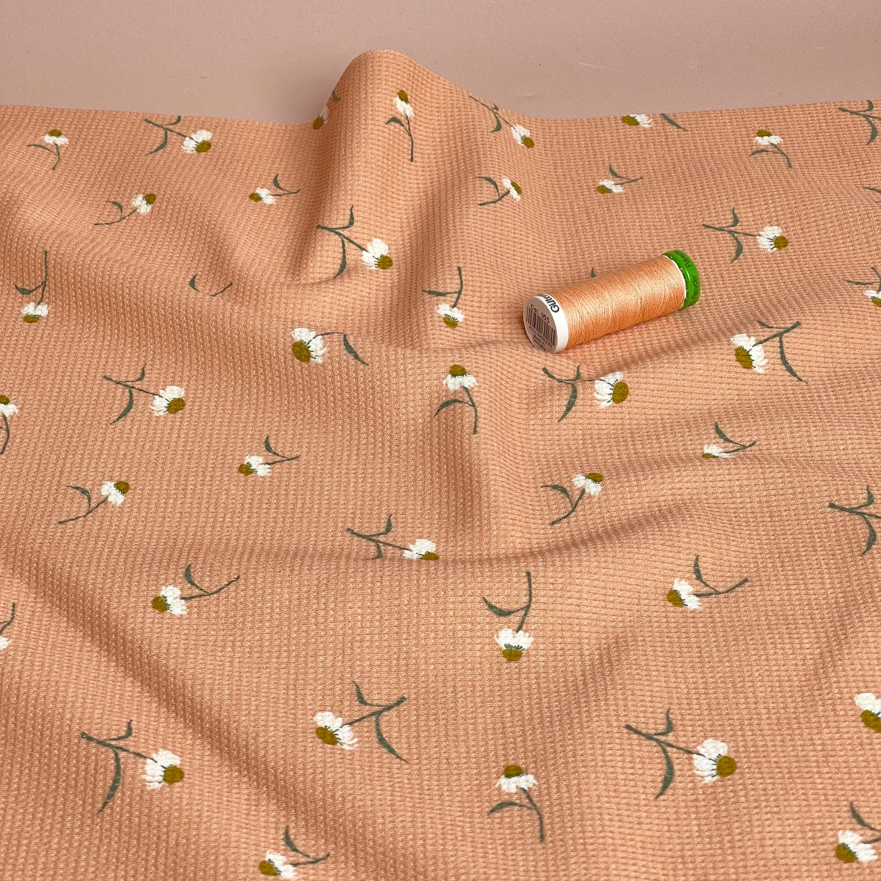 Cute Daisies Cotton Waffle Jersey in Dusky Salmon